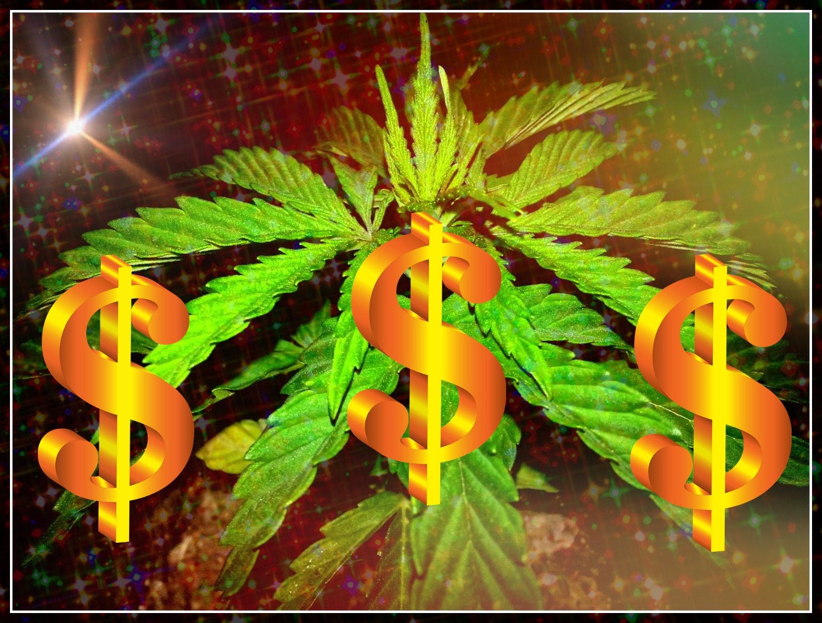 Canna-Lance-Cannabis-Is-Worth-Billions